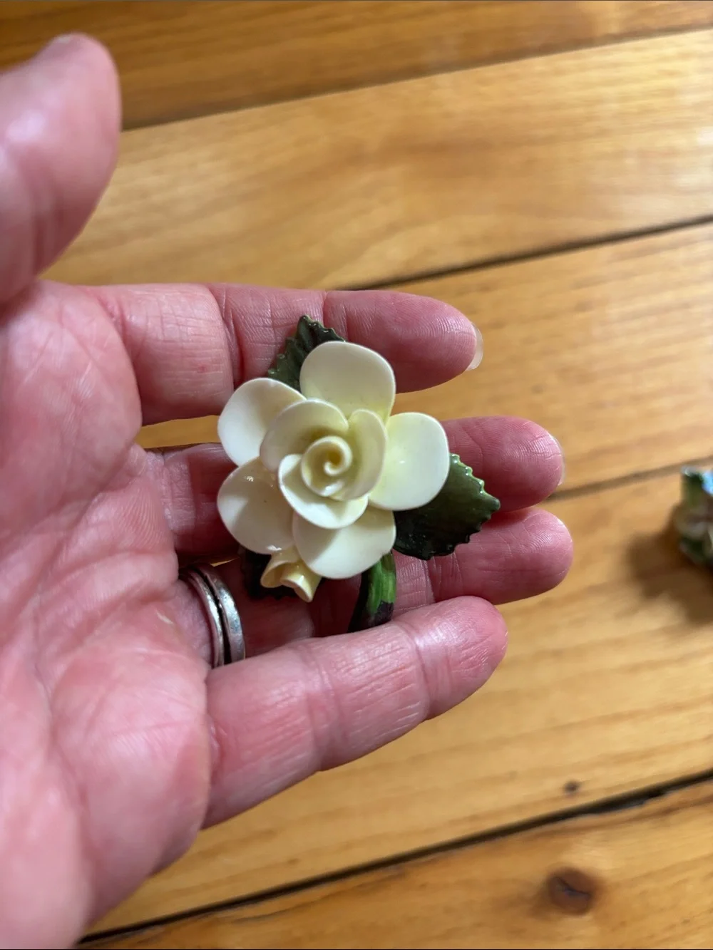 Vintage Staffordshire Pins and clip on earrings Made in England
